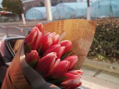 -双季花艺园艺市场(浦东店)