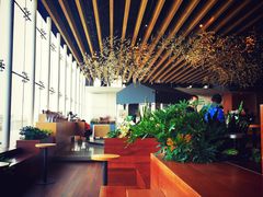 -Seesaw Coffee(朝阳大悦城店)