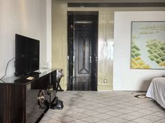 -上海闵行星河湾酒店