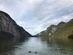 -柯尼希湖