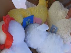 -可爱抓 COCO  GOTCHA(天津鹏欣水游城店)