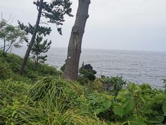 -柱状节理带