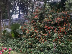 -西昌老号李小肠特色烧烤园(双流店)
