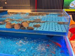 -海底捞火锅(长宁路龙之梦店)