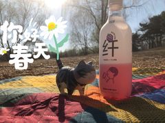 -长白岛森林公园