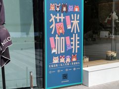 门面-飞行喵MR PILOT|猫舍·猫咖(静安大融城店)