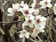 -郑州中国绿化博览园