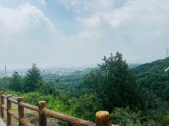-白水寺森林公园