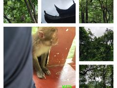 -黔灵山公园