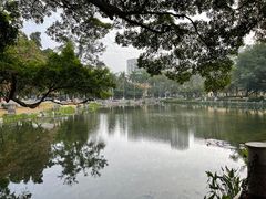 -广西大学(大学东路校区)