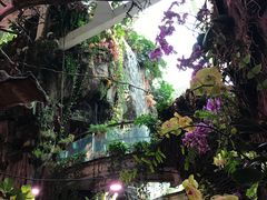 -正佳雨林生态植物园