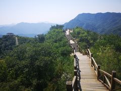 -大岭沟猕猴桃谷风景区