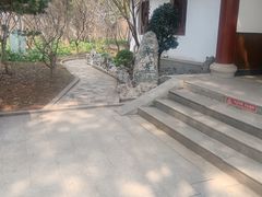 -南汇桃花村