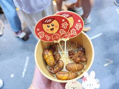 -海心沙亚运公园