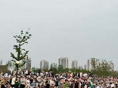 -西海子公园