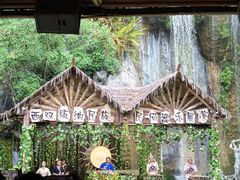 -西双版纳原始森林公园