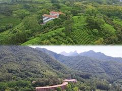 -梅州天地人花园酒店(梅县人民广场店)