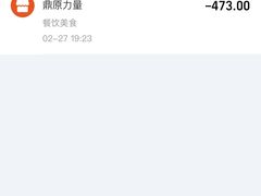 -鼎原力量东北吊炉烧烤(临河街店)