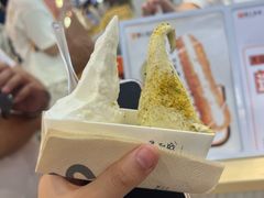 -野人先生现做冰淇淋(西安赛格店)