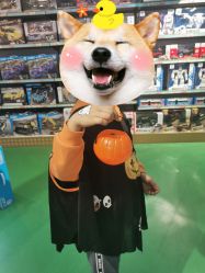 -Hamleys哈姆雷斯(东方福来德店)