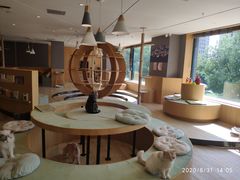 -CAT’S MEWSTAR CAFE·喵星球猫屋(晴湾咖啡店)