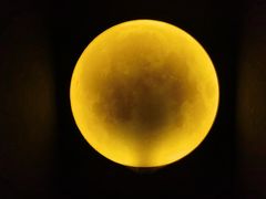 -深圳独角兽星空艺术馆