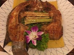 香茅草烤罗非鱼-紫滇源云南生态菜(丹凤街店)