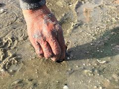 -北海金海湾红树林生态旅游区