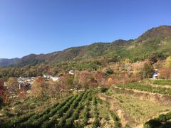 -塔川景区