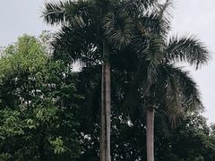 -广州市白云山风景名胜区