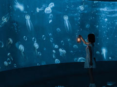 -江和美海洋公园