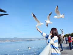 -滇池海埂公园