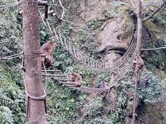 -峨眉山风景名胜区