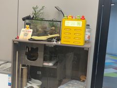 -财東财·棋牌(五角场店)