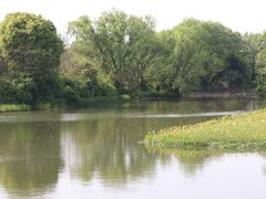 -西溪国家湿地公园