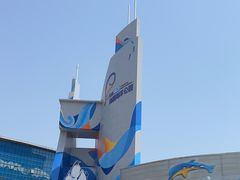 -海合安青岛极地海洋公园