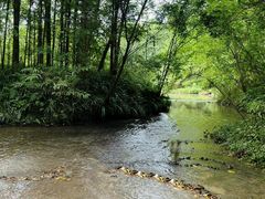 -桤木河湿地公园