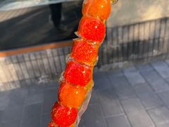 -和禄德冰糖葫芦