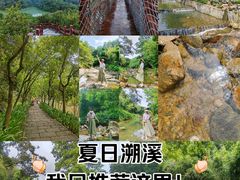 -广州白江湖森林公园