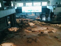 -自贡恐龙博物馆