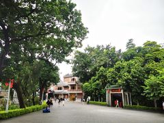 -荔湾湖公园