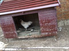 -甜心庄园·甜心草莓采摘园(西青中北店)