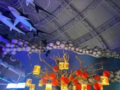 -烟台海昌鲸鲨海洋公园