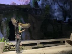 -夜间野生动物园