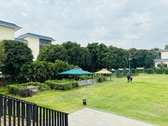 -厦门悦华酒店·绿庭主题自助餐厅