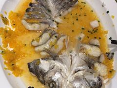 -燕郊烧鸽子(酷车小镇店)