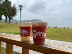 -南澳岛打卡果汁冰公司