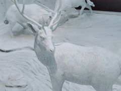 -中国湿地博物馆