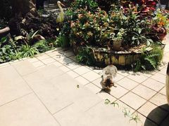-默迹咖啡馆