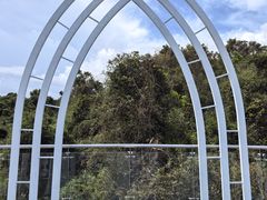 -三亚亚龙湾人间天堂鸟巢度假村